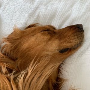 Meet your Posher, Elle